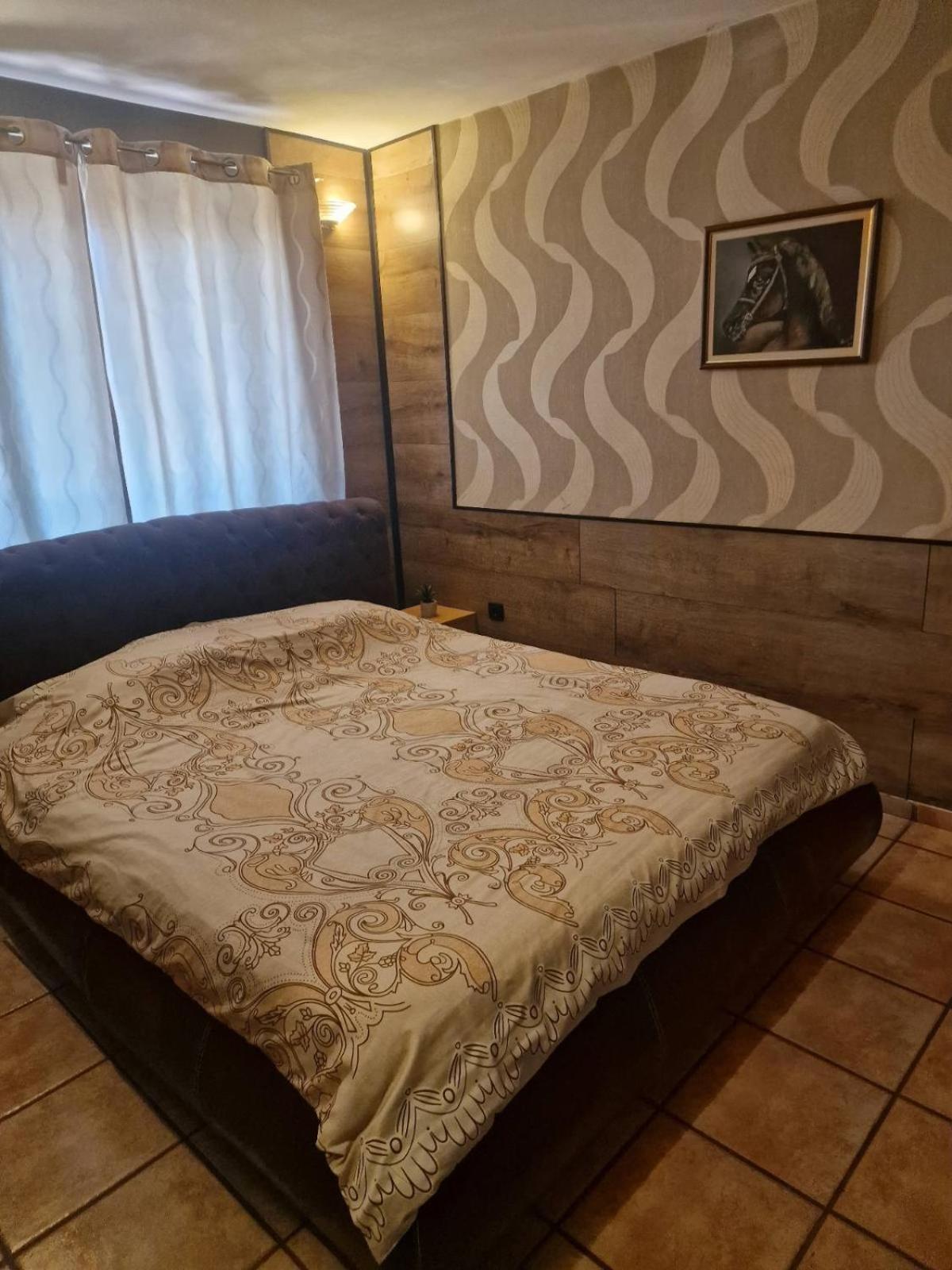 Guest House Maja Нови-Сад Экстерьер фото