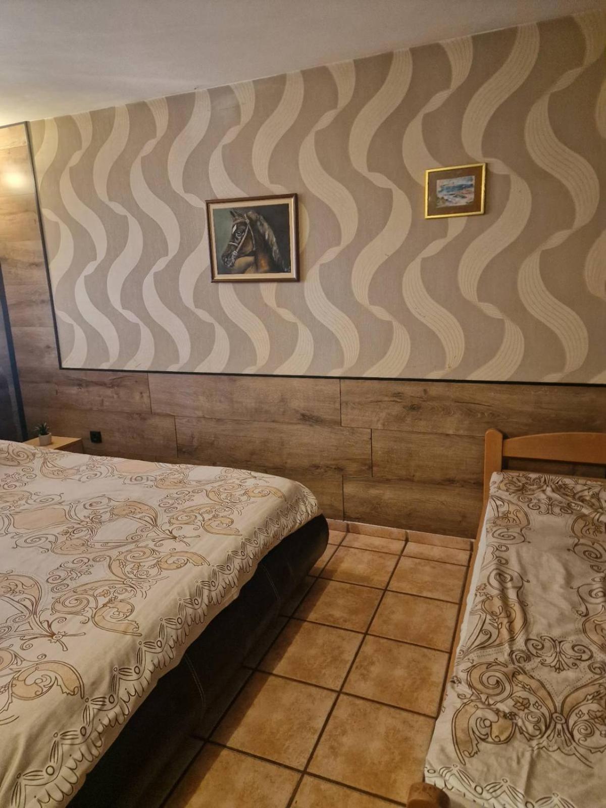 Guest House Maja Нови-Сад Экстерьер фото