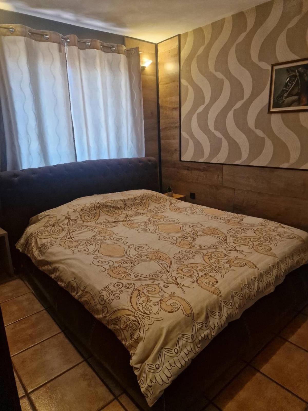 Guest House Maja Нови-Сад Экстерьер фото
